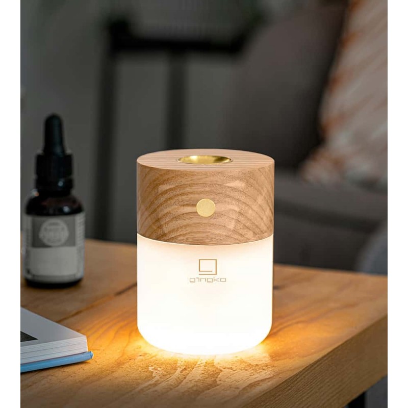 Smart diffuser Lamp : Diffuseur d’huiles essentielles lumineux – GINGKO