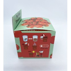 mes petites tomates radis et capucine packaging 02 