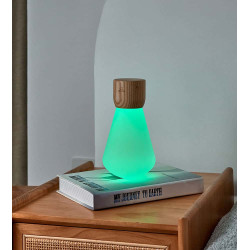lampe de bureau tactile rechargeable bois gingko 05 