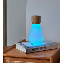 lampe de bureau tactile rechargeable bois gingko 06 