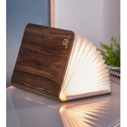 SMART BOOK LIGHT : Lampe livre nomade - GINGKO
