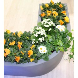 Flowerpot corner : Pot de fleurs d'angle - MONACIS