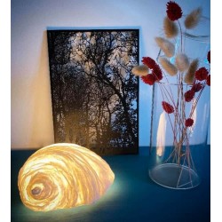 Lampe Coquillage en papier fait-main - SANDRA MASSAT